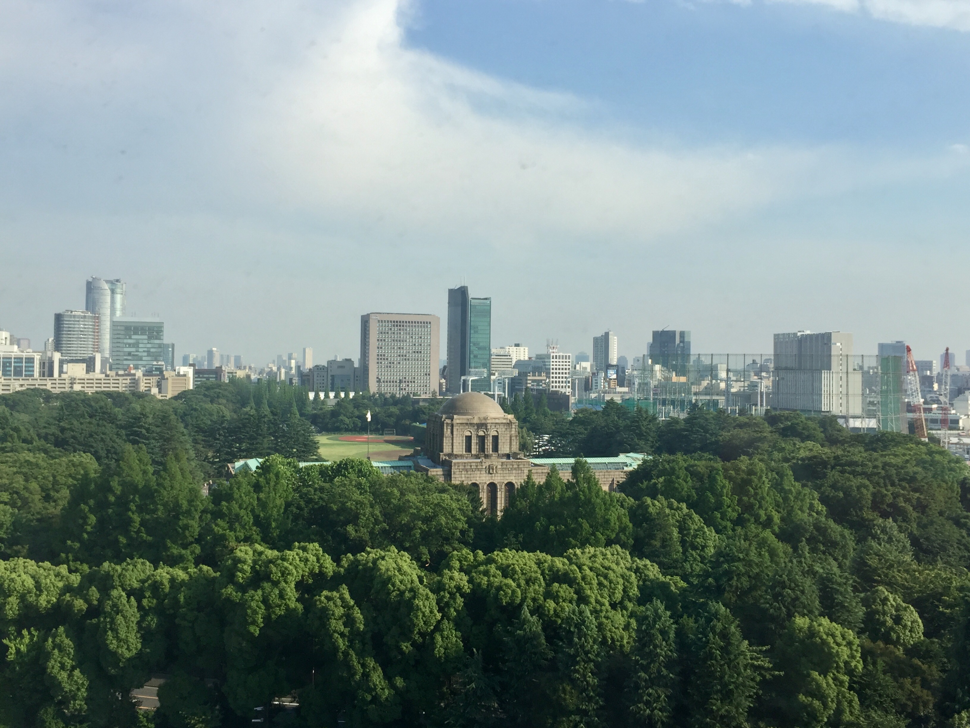 はじめての入院〜①救急搬送・まれなケガ・ICU(集中治療室)へ